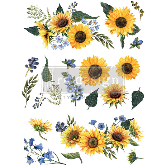 Redesign Decor Transfers® – Sunflower Fields