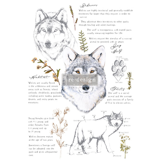 Redesign Decor Transfers® – Gray Wolf