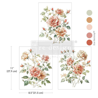 Middy Transfers® – Gentle Symphony