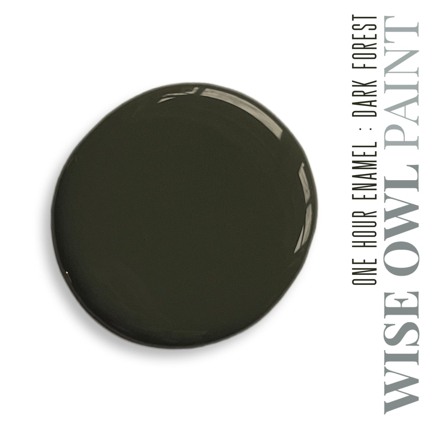One Hour Enamel Paint, Gallons